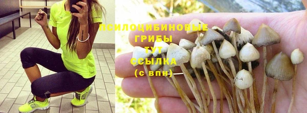 каннабис Коряжма